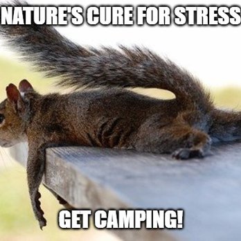 Camping World - Katy - Outdoor Gear Near Me - Katy, Texas