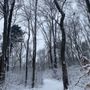 Photo of turkey hill conservation area