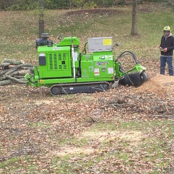 Rojas Chops Tree Service - GRINDING THE STUMP! - Tree Services Near Me - Cincinnati, Ohio
