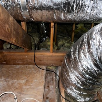 The Attic Cats - Before - Pest Control Near Me - San Fernando Valley, California The Attic Cats - Before - Pest Control Near Me - San Fernando Valley, California