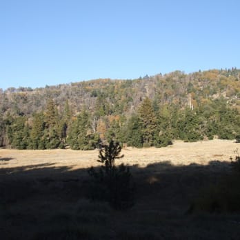 Palomar Mountain State Park - Parks Near Me - Palomar Mountain, California Palomar Mountain State Park - Parks Near Me - Palomar Mountain, California