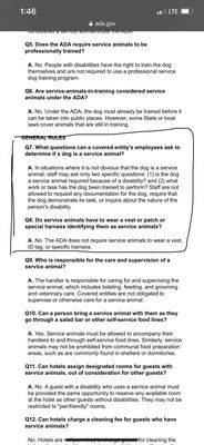 The Willows Flea Market by null