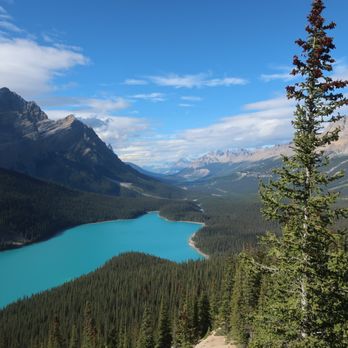 Peyto Lake - Sep 2024. - Lakes Near Me - Banff, Alberta Peyto Lake - Sep 2024. - Lakes Near Me - Banff, Alberta