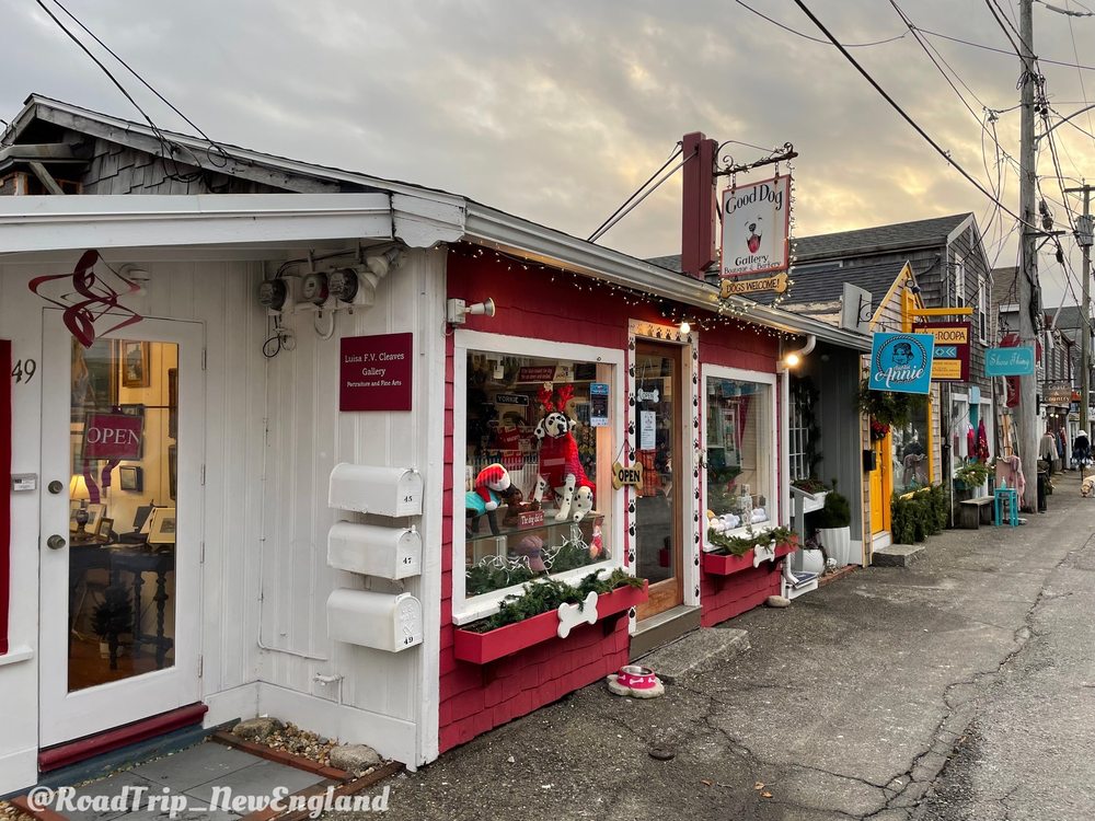 GOOD DOG GALLERY Updated October 2024 37 Photos & 14 Reviews 47