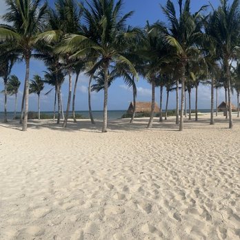 Moon Palace Cancun - Resorts Near Me - Cancún, ROO