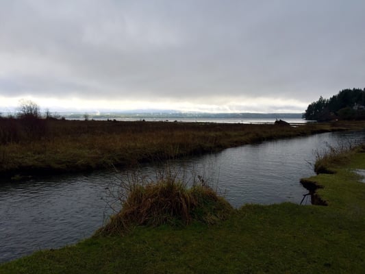 Dosewallips State Park by null