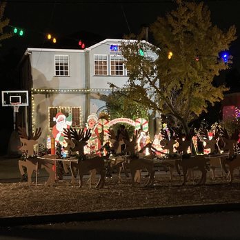 Christmas Tree Lane - Local Flavor Near Me - Alameda, California