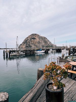 Tognazzini's Dockside Restaurant by null