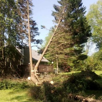 Bobs Local Tree Service - He got it just right - Tree Services Near Me - Murrayville, Georgia