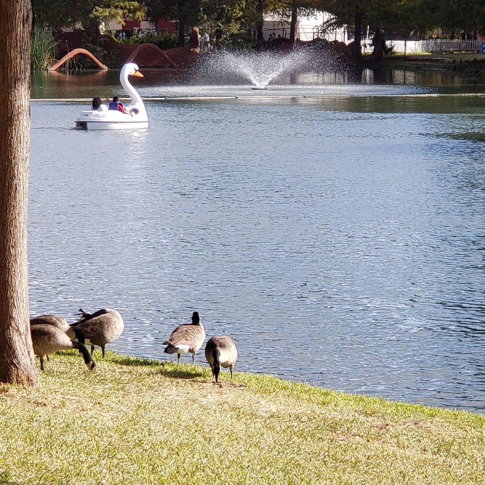 The Leonhardt Lagoon - Lakes Near Me - Dallas, Texas