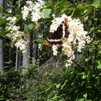 Owl Song Healing Arts - Clearwood Community Trail - Massage Therapy Near Me - Yelm, Washington Owl Song Healing Arts - Clearwood Community Trail - Massage Therapy Near Me - Yelm, Washington