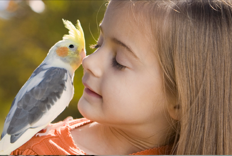 until we meet again cremation