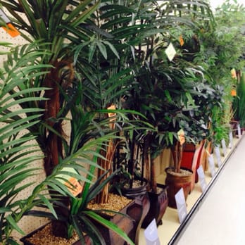 Hobby Lobby - No water necessary! Tall & pretty faux plants @ Hobby Lobby in Madison, AL 20150330 - Art Supplies Near Me - Madison, Alabama Hobby Lobby - No water necessary! Tall & pretty faux plants @ Hobby Lobby in Madison, AL 20150330 - Art Supplies Near Me - Madison, Alabama