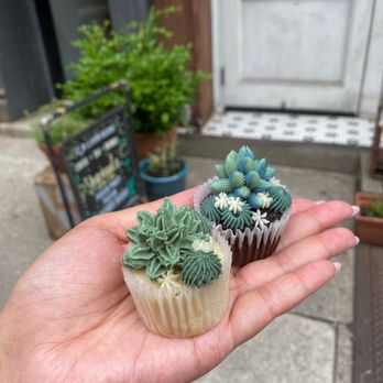 Urban Backyard - Coffee & Tea Near Me - New York, New York Urban Backyard - Coffee & Tea Near Me - New York, New York