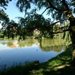 Obersee