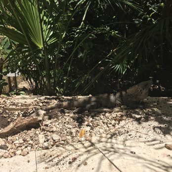 Catalonia Royal Tulum - Hotels Near Me - Xpu Ha, ROO
