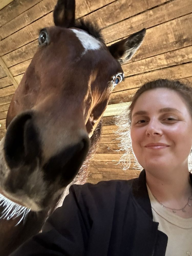 Gregory Farms - equestrian in Knoxville, TN