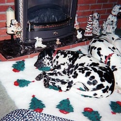The Dog House Inn