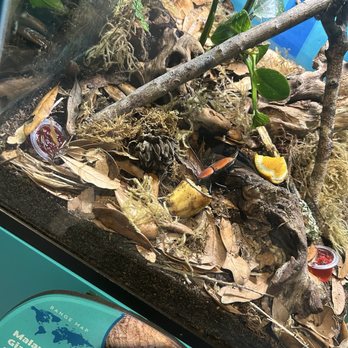 Audubon Insectarium - Zoos Near Me - New Orleans, Louisiana Audubon Insectarium - Zoos Near Me - New Orleans, Louisiana