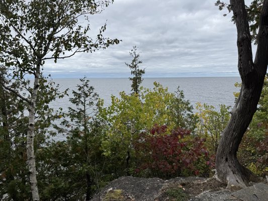 The Clearing by null