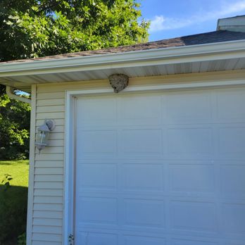 A+ Pest Solutions - Pest Control Near Me - Muscatine, Iowa A+ Pest Solutions - Pest Control Near Me - Muscatine, Iowa