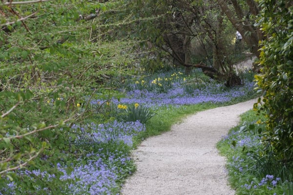 Mount Usher Gardens by null