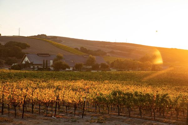 Foley Estates Vineyard & Wine by null