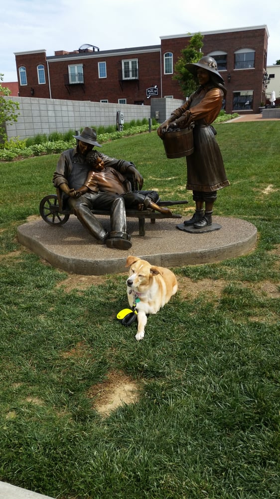 TOWNE SQUARE ANIMAL HOSPITAL Updated September 2024 11 Reviews