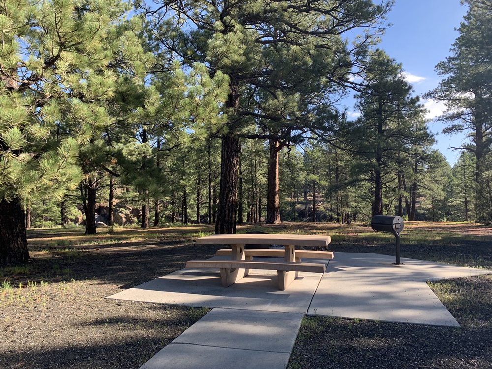 BONITO CAMPGROUND Updated June 2024 11 Photos & 10 Reviews 5075 N Hwy 89, Flagstaff