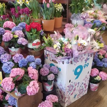 Fry's - Flower section - Grocery Near Me - Scottsdale, Arizona