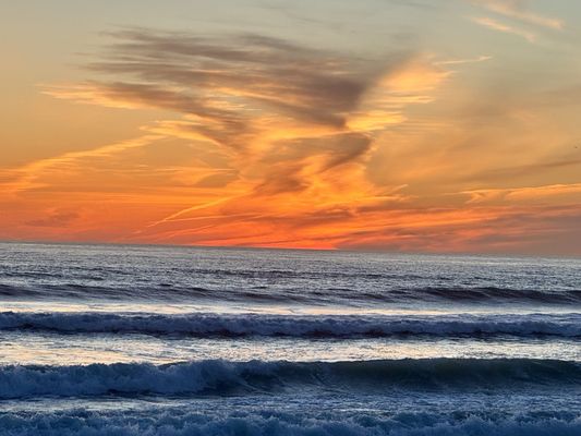 Moonlight State Beach by null