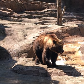 Indianapolis Zoo - Zoos Near Me - Indianapolis, Indiana Indianapolis Zoo - Zoos Near Me - Indianapolis, Indiana
