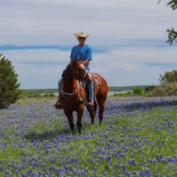 Benbrook Stables - Trail rides at Benbrook Stables