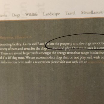 All Dogs Rule - Screenshot from their website. "Karen and Russ live on the property and the dogs are cared for 24/7." - Pet Training Near Me - Fillmore, California