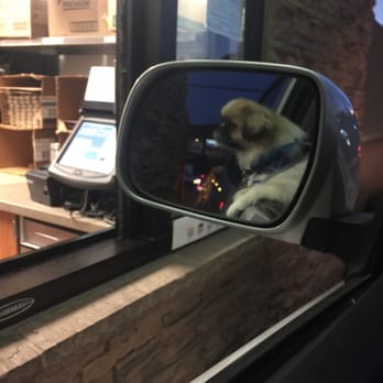 Chick-fil-A - Gizmo grabbing our order from the window ;) - Fast Food Near Me - Encinitas, California