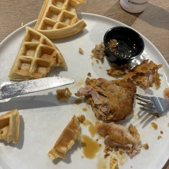 Graze - Chicken and waffles - Waffles Near Me - Tampa, Florida Graze - Chicken and waffles - Waffles Near Me - Tampa, Florida
