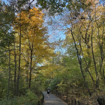 Central Park - Parks Near Me - New York, New York Central Park - Parks Near Me - New York, New York
