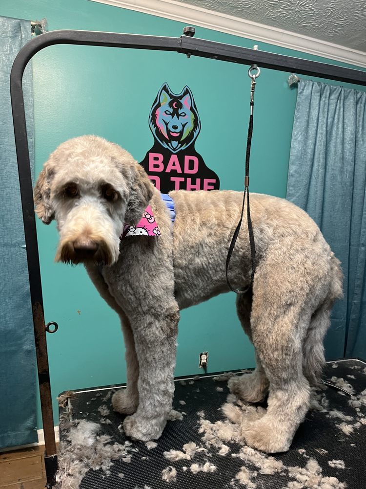 BAD TO THE BONE GROOMING SALON Updated September 2024 Request an