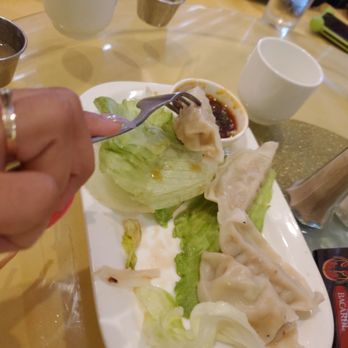 Dragon Gate - Chicken dumplings - Chinese Near Me - Pembroke Pines, Florida