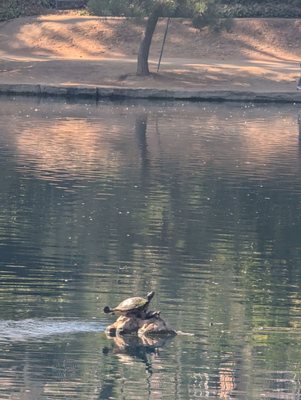 Laguna Lake Park by null