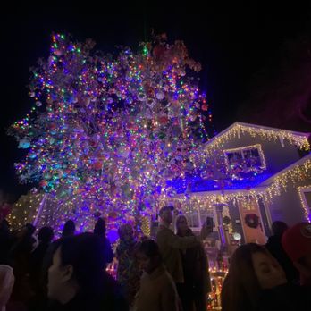 Christmas Tree Lane - Festivals Near Me - San Carlos, California