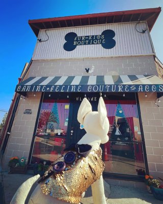 Fur-Kids Boutique by null