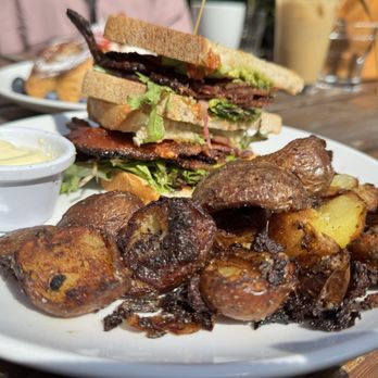 Odd Bird Cafe - BLT - Breakfast & Brunch Near Me - Corvallis, Oregon Odd Bird Cafe - BLT - Breakfast & Brunch Near Me - Corvallis, Oregon