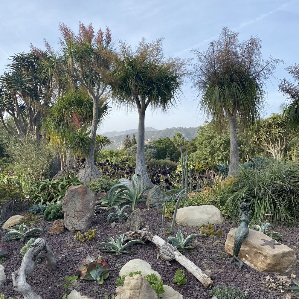 Seaside Gardens - Nurseries & Gardening Near Me - Carpinteria, California Seaside Gardens - Nurseries & Gardening Near Me - Carpinteria, California