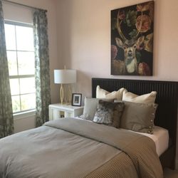 Terra Point Realty - Guest Bedroom