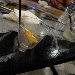 Cafe Nola - Cocktail Cup Size