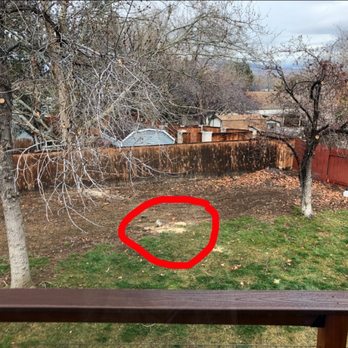 Northern Nevada Tree Experts - Where our tree once was was now a pile of sawdust. Which they cleaned up and it looks like I couldn't even tell there was a tree there. - Tree Services Near Me - Sparks, Nevada