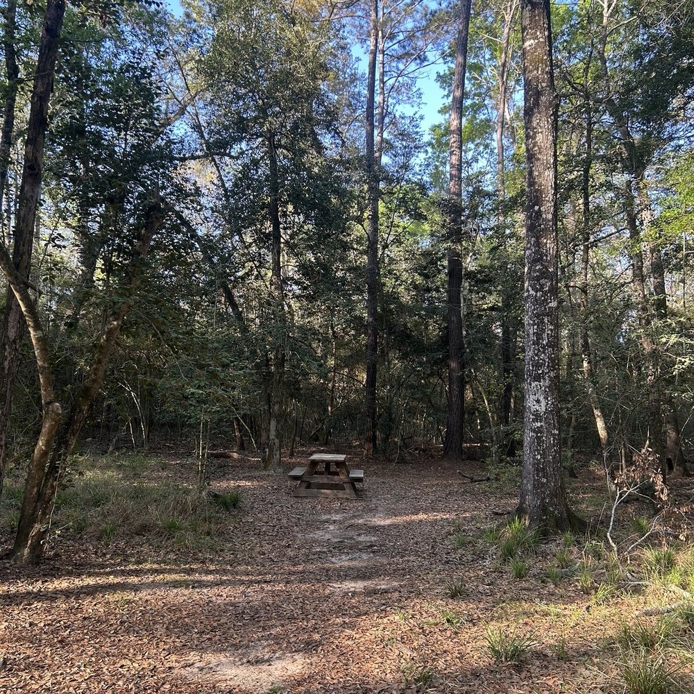George Mitchell Nature Preserve - Parks Near Me - Spring, Texas George Mitchell Nature Preserve - Parks Near Me - Spring, Texas