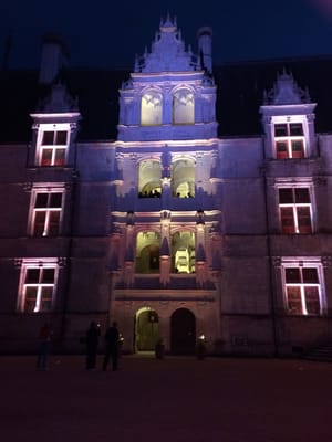 Château d'Azay-le-Rideau by null