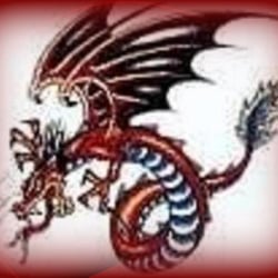 Computer Dragons